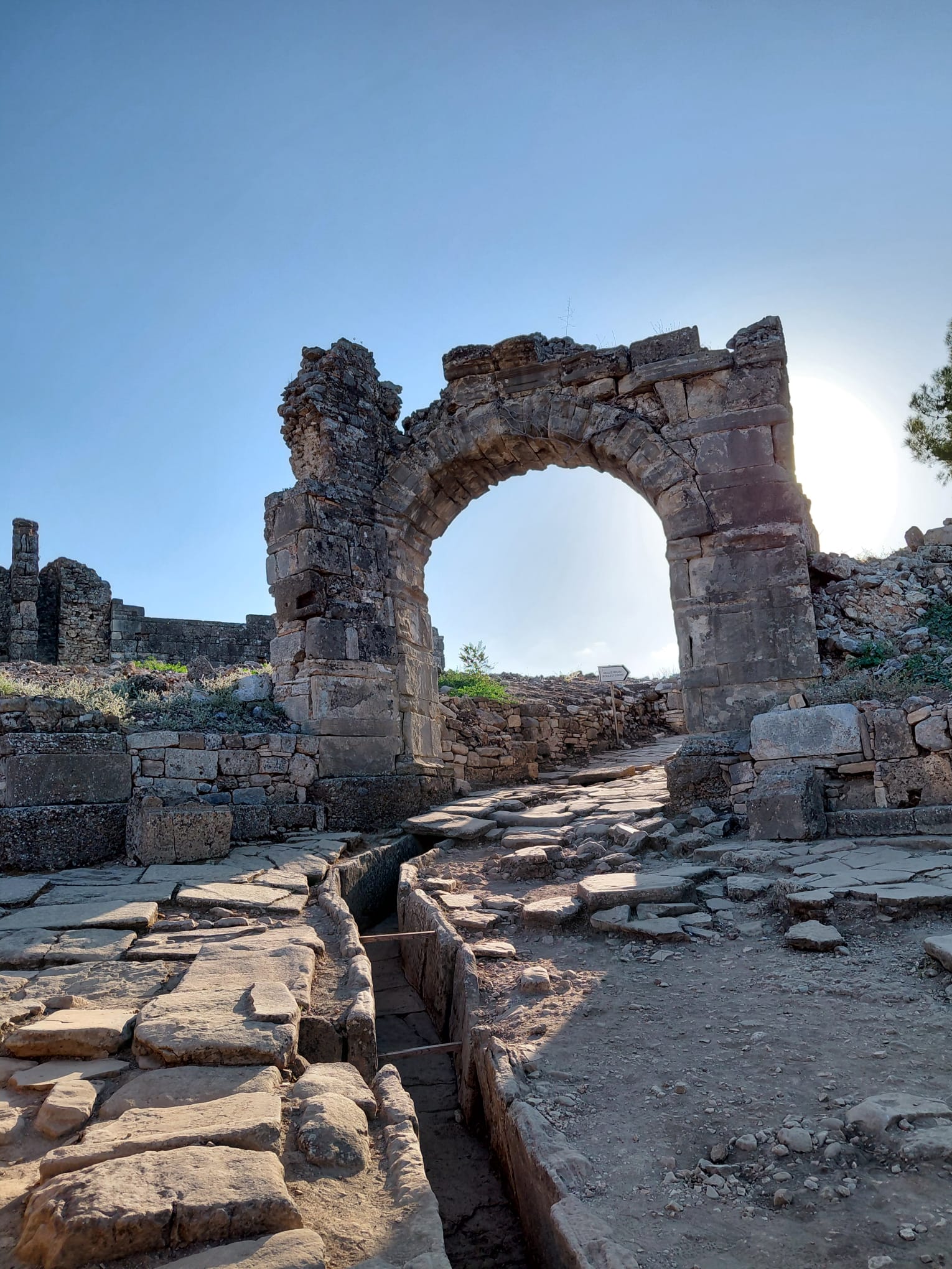 Antalya sonbahar renkleri ve ağaçlar