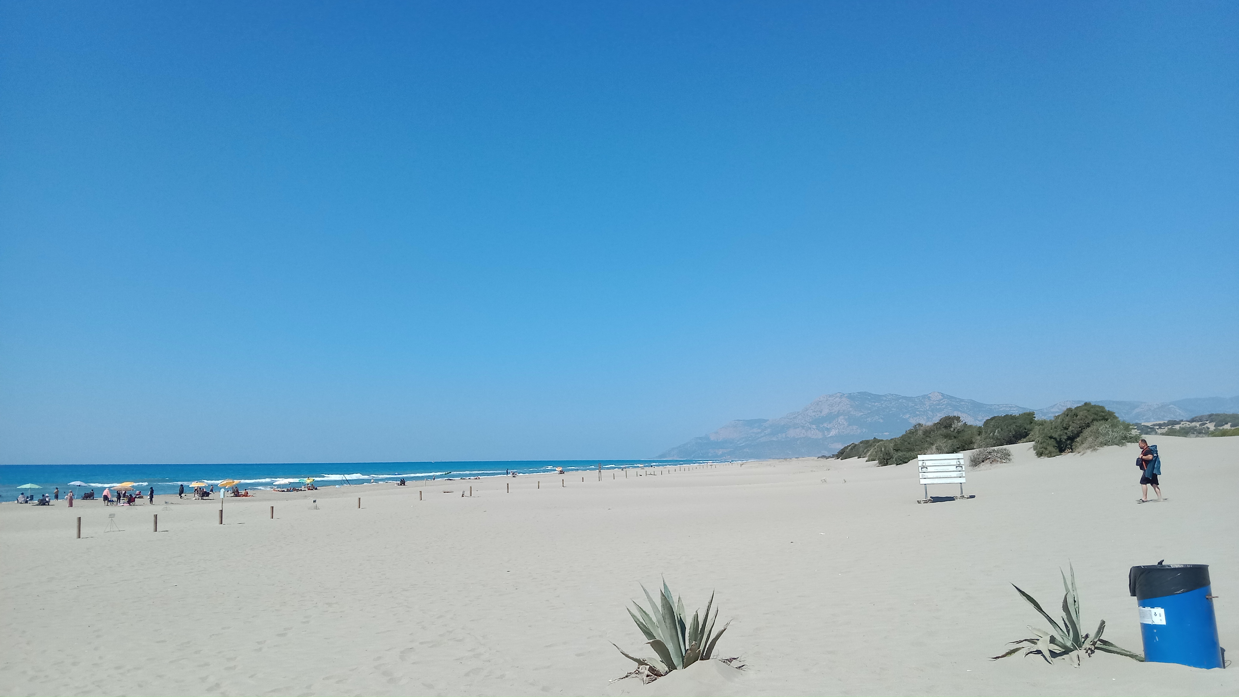 Gün ışığında doğa fotoğrafı